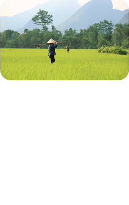 Paul-Chesley-Hanoi--Vietnam-54085