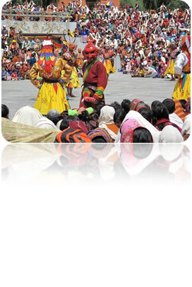 http://www.gotsaga.com/index.php/Media/showPhoto/filename/be36a4322d71e54f6201062bb83d6886.jpg